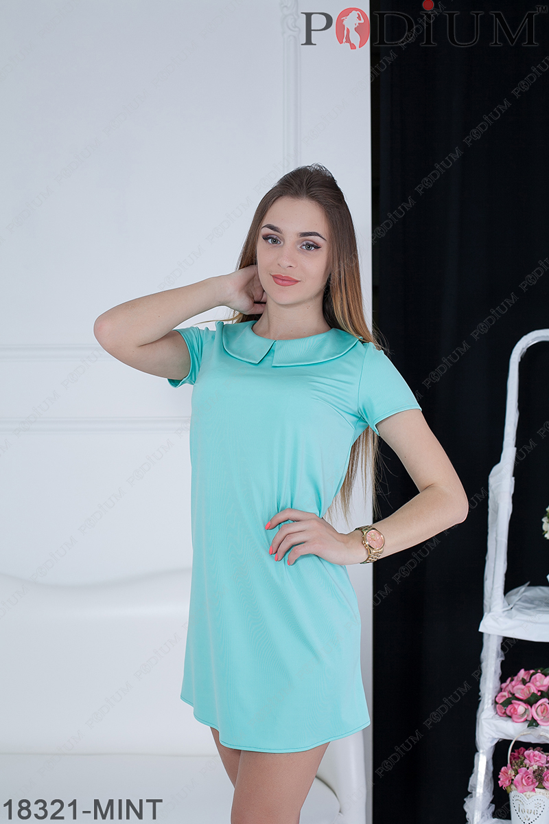 18321-MINT